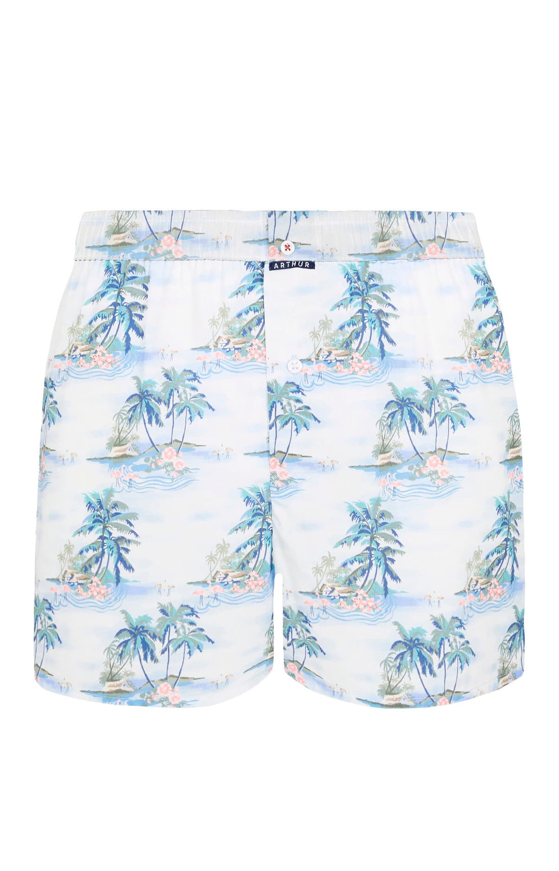 Caleçon classique Homme Hawai Bleu 3
