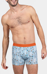 Boxer patinoire Ciel 2