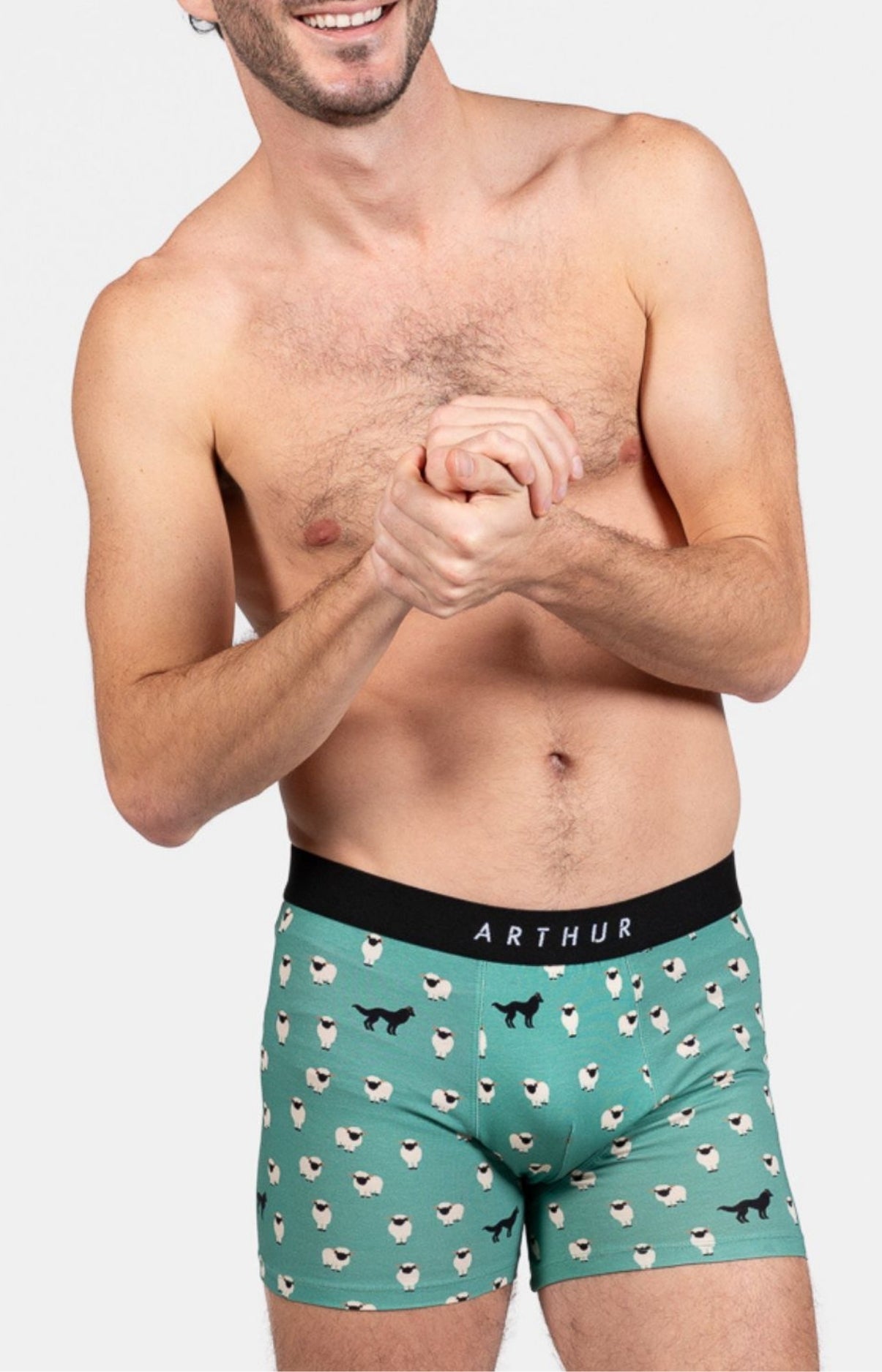 Boxer Homme Mouton Vert 1