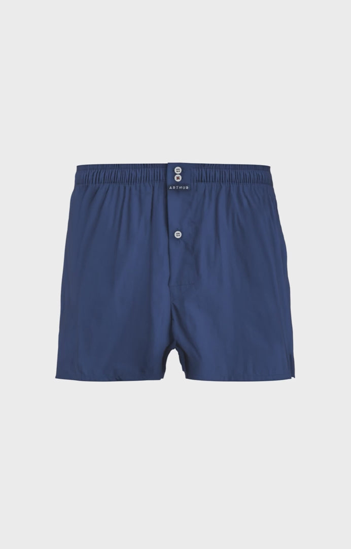 Caleçon avec slip intégré bleu rayé homme 7