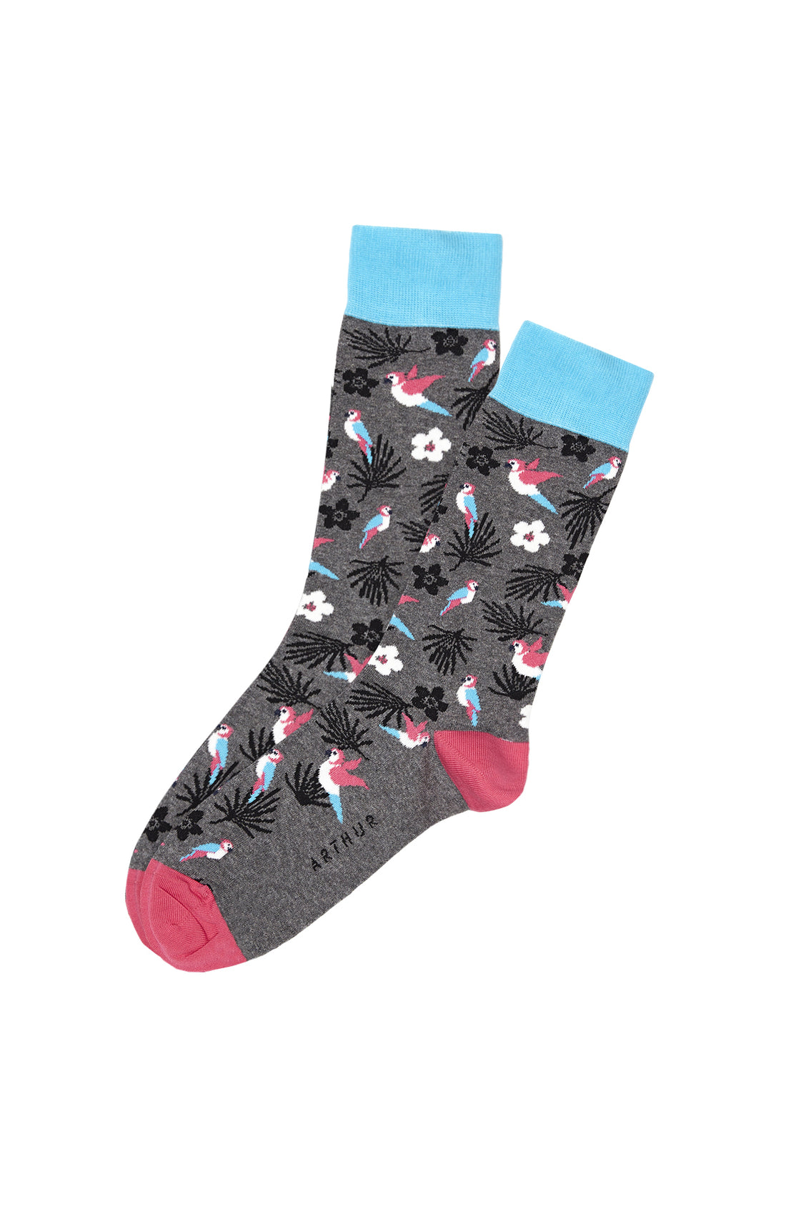 Chaussettes Homme Perroquet Gris 2