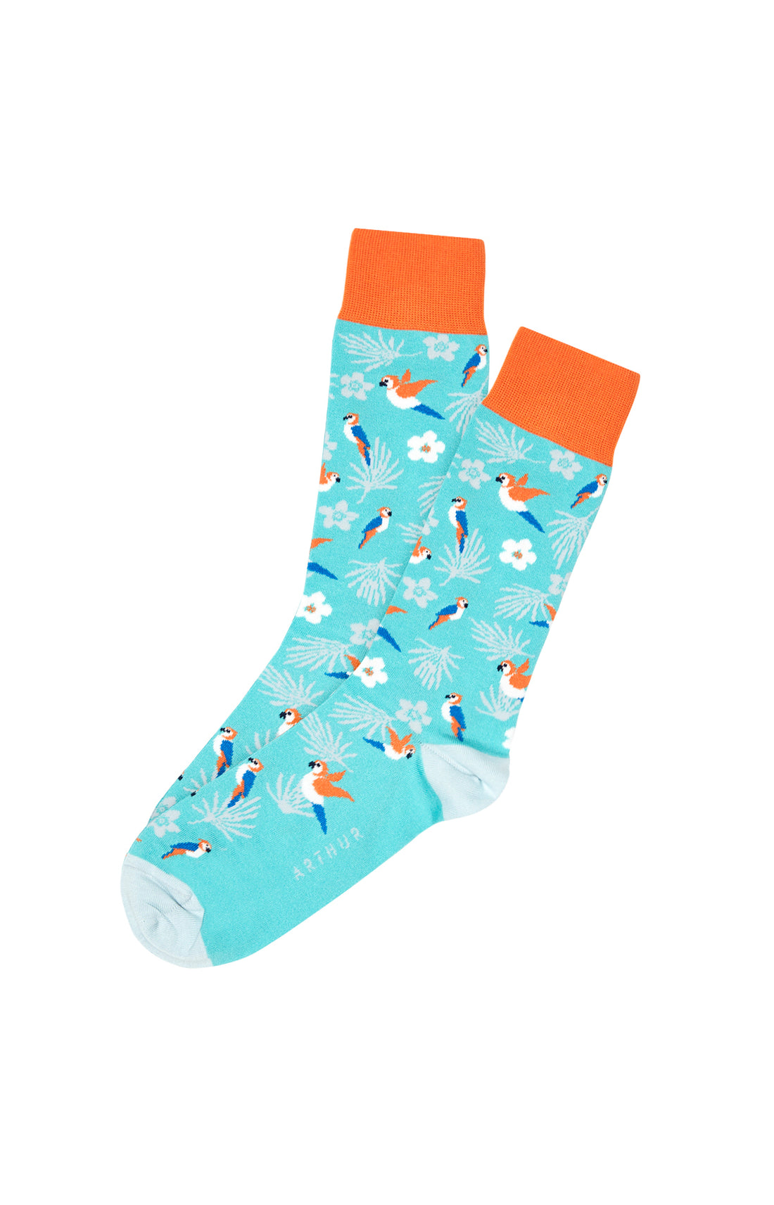 Chaussettes Homme Perroquet Gris 3