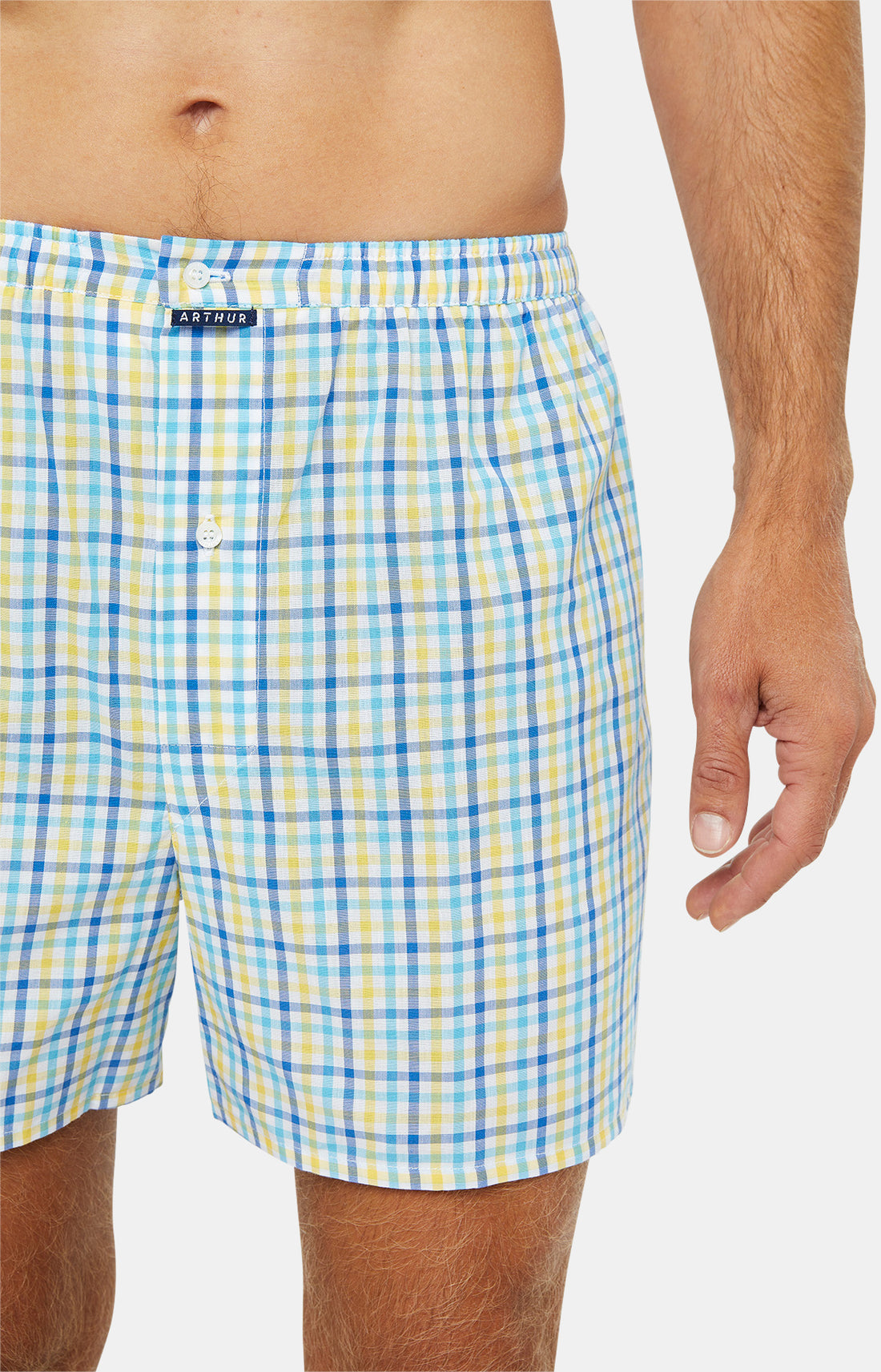 Caleçon classique Homme Vichy Multicolore 2