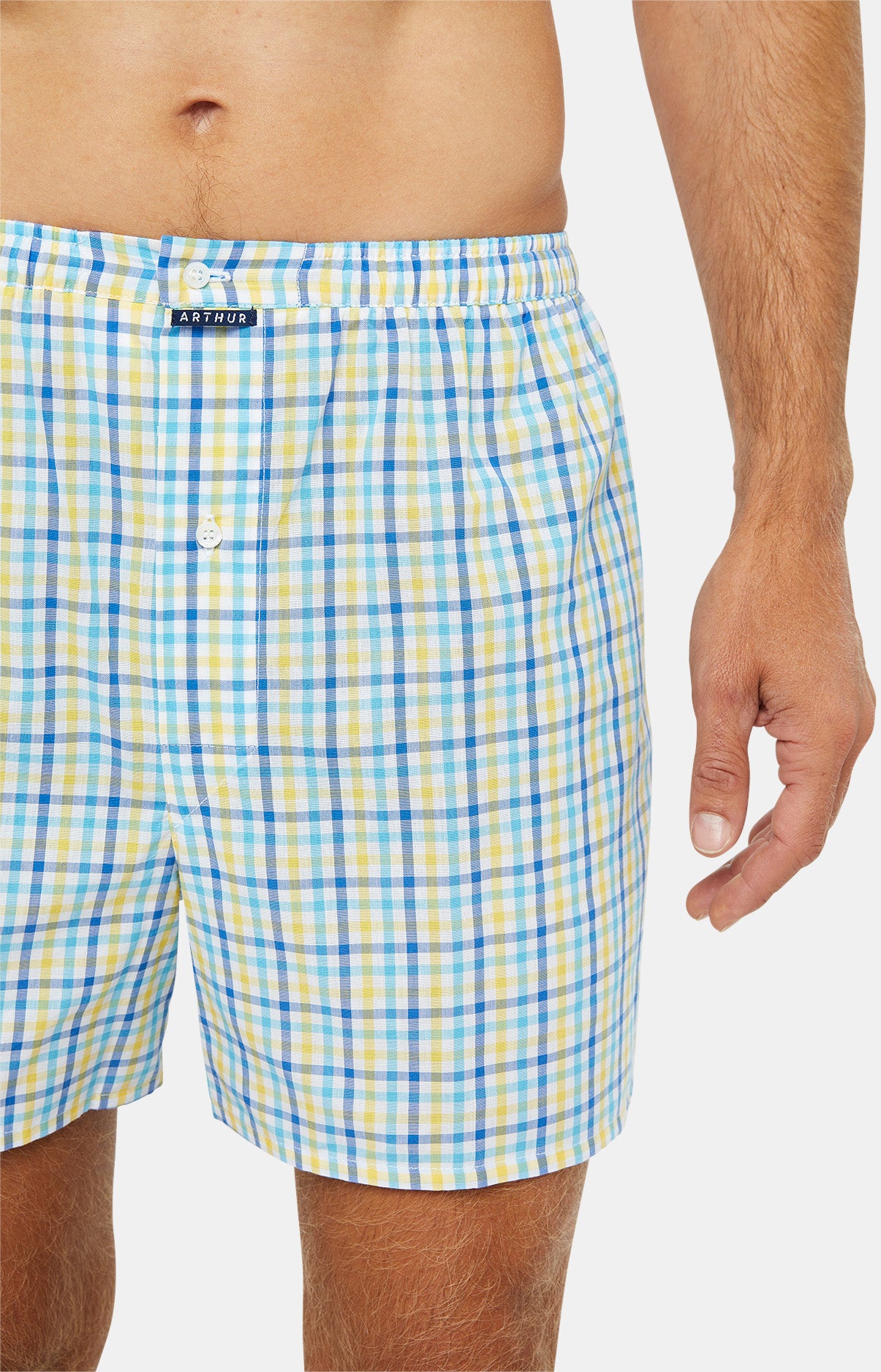 Caleçon classique Homme Vichy Multicolore 2