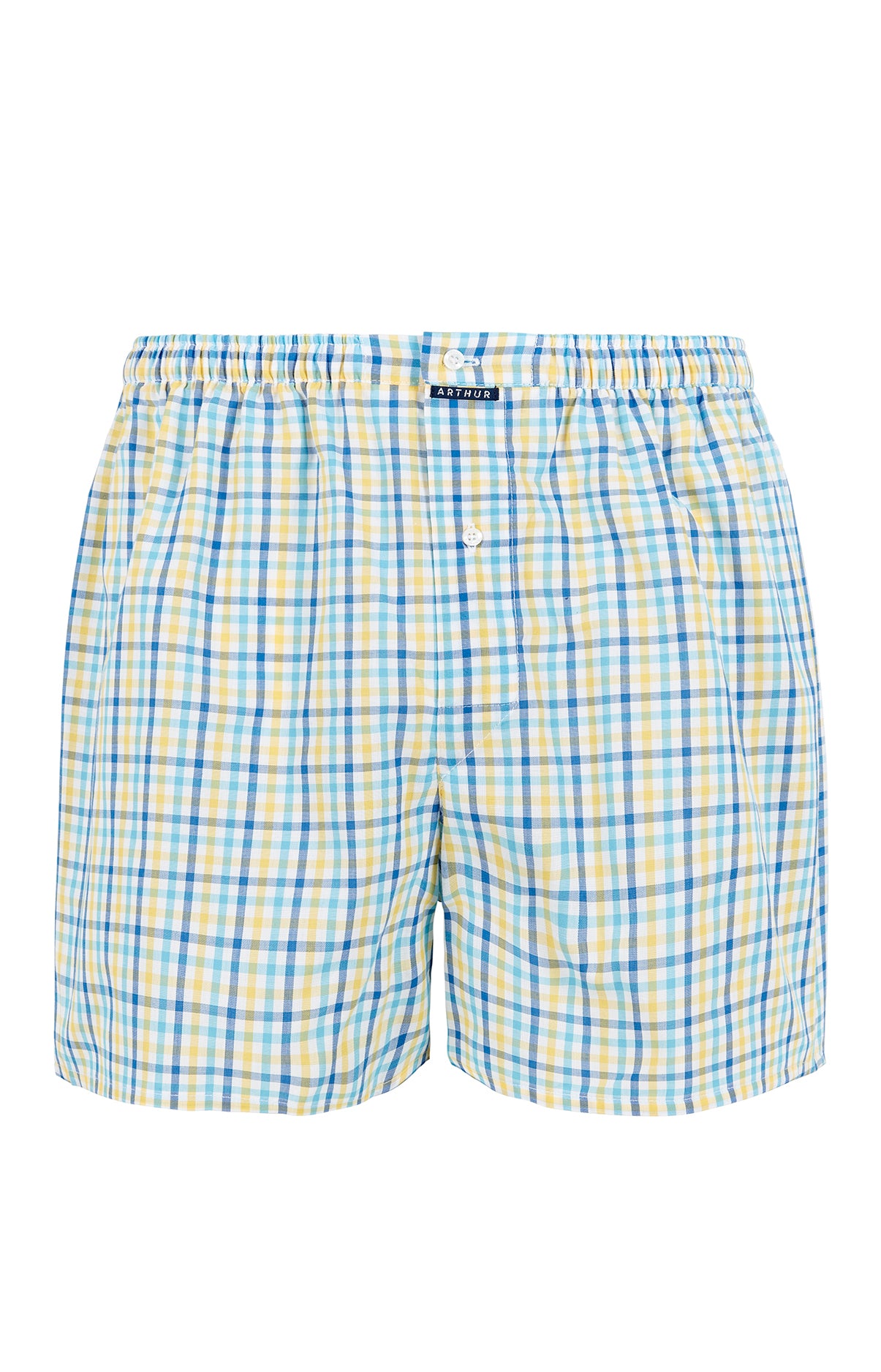 Caleçon classique Homme Vichy Multicolore 3