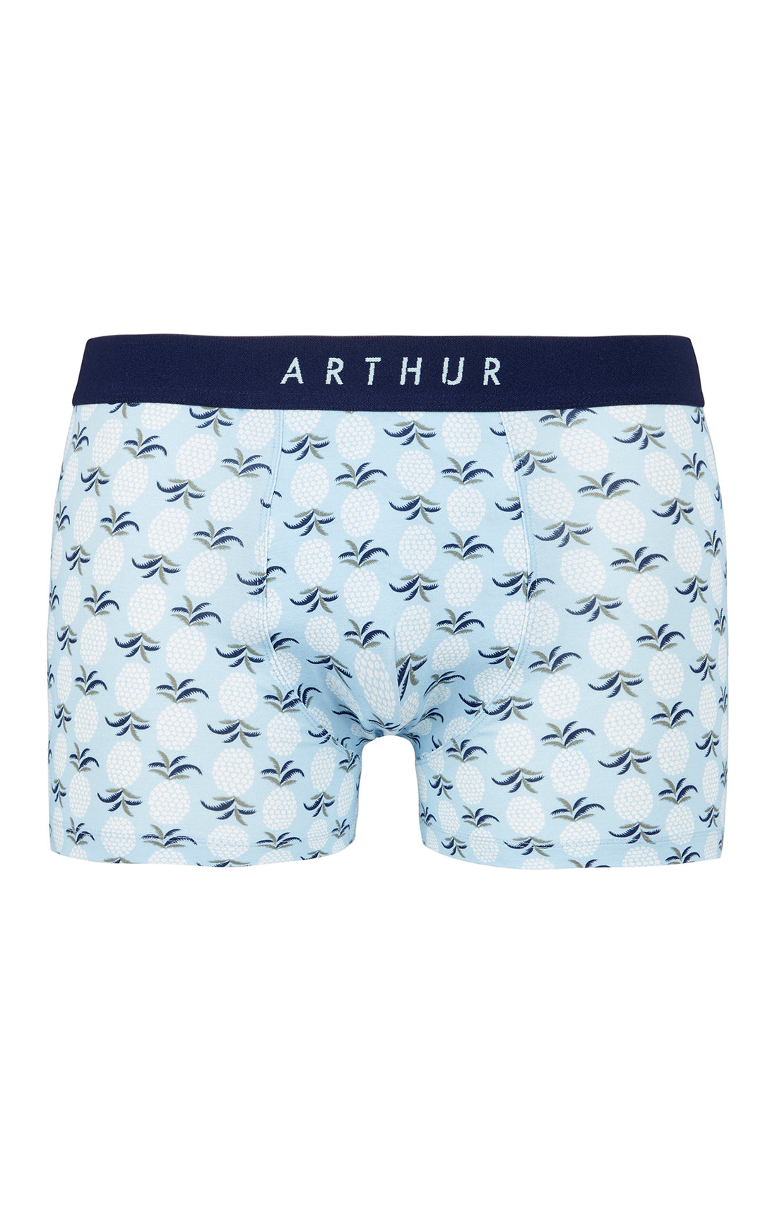 Boxer Homme Ananas Bleu 3