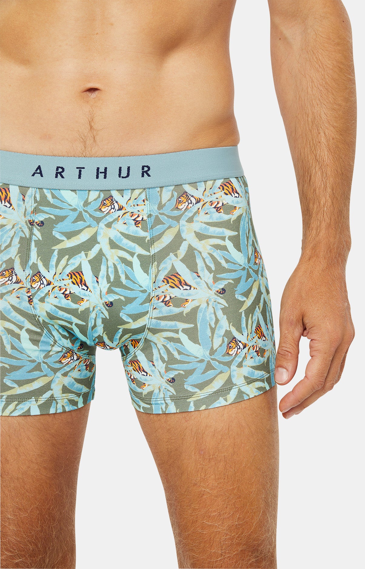 Boxer Homme Tigre Vert 6
