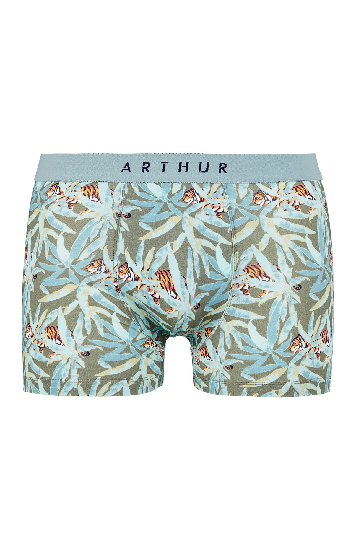 Boxer Homme Tigre Vert 7