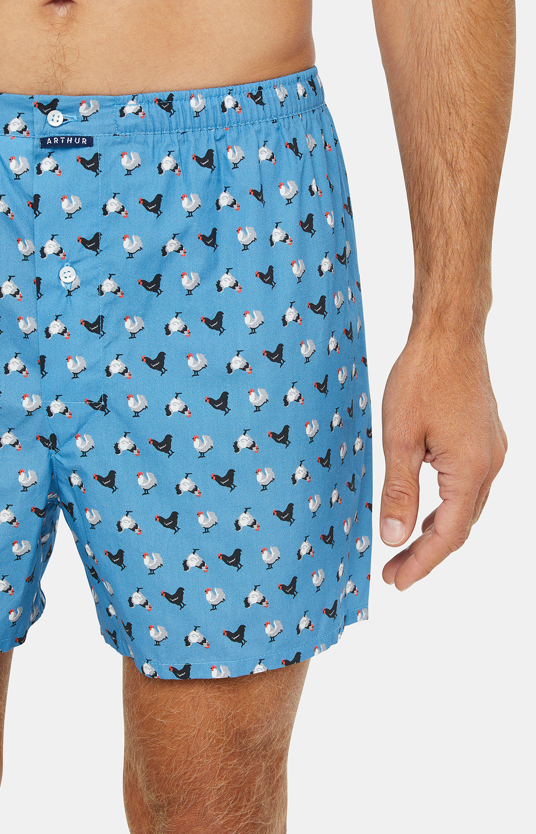 Caleçon classique Homme Poule Bleu 2