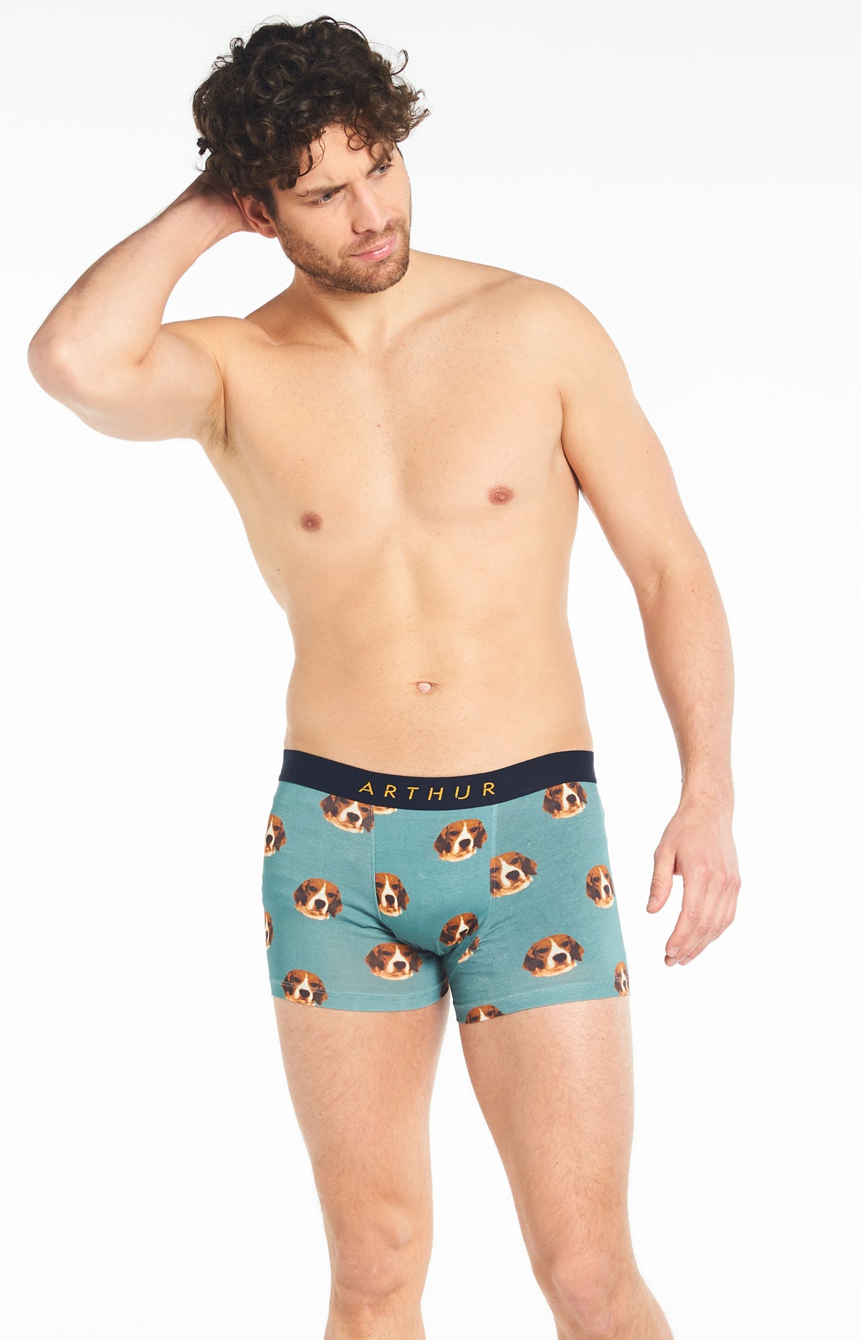 Boxer Homme Beagle Bleu 4