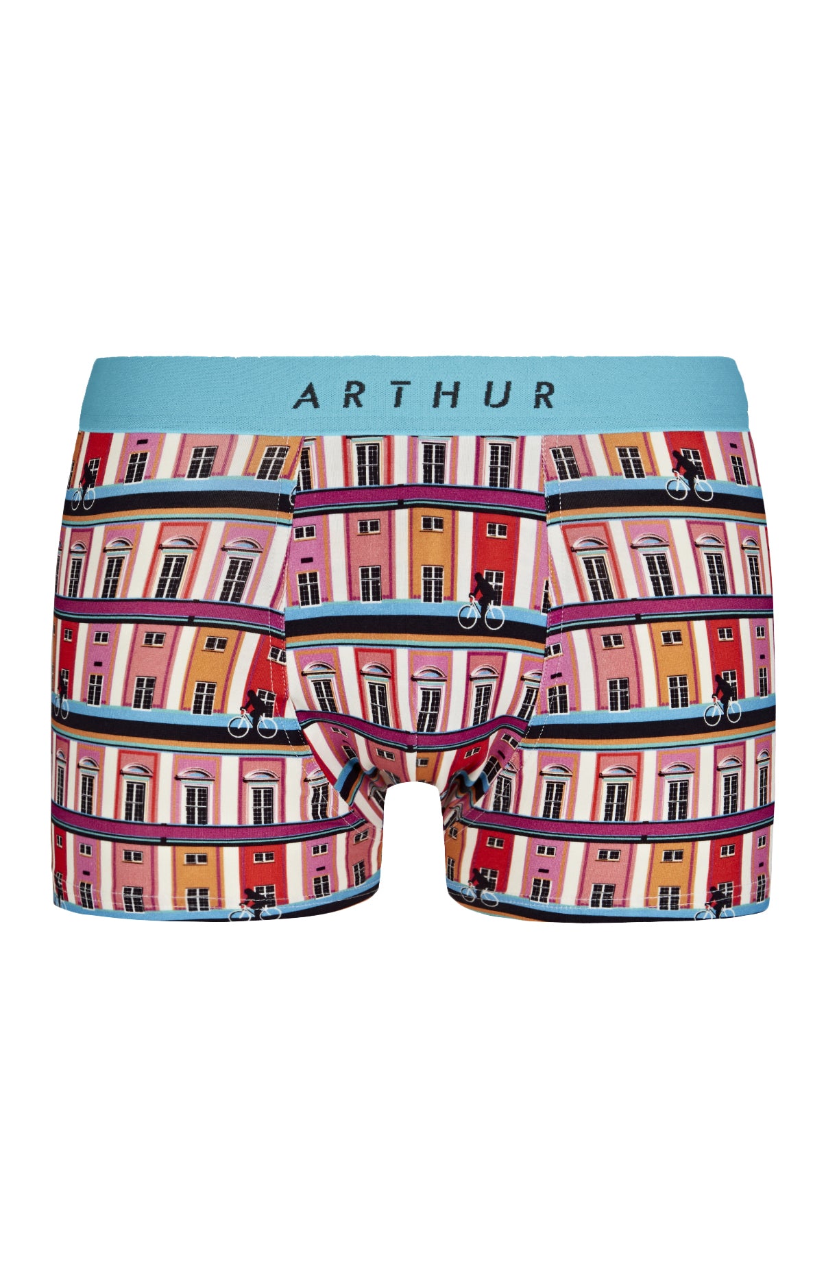Boxer Homme House Multicolore 3