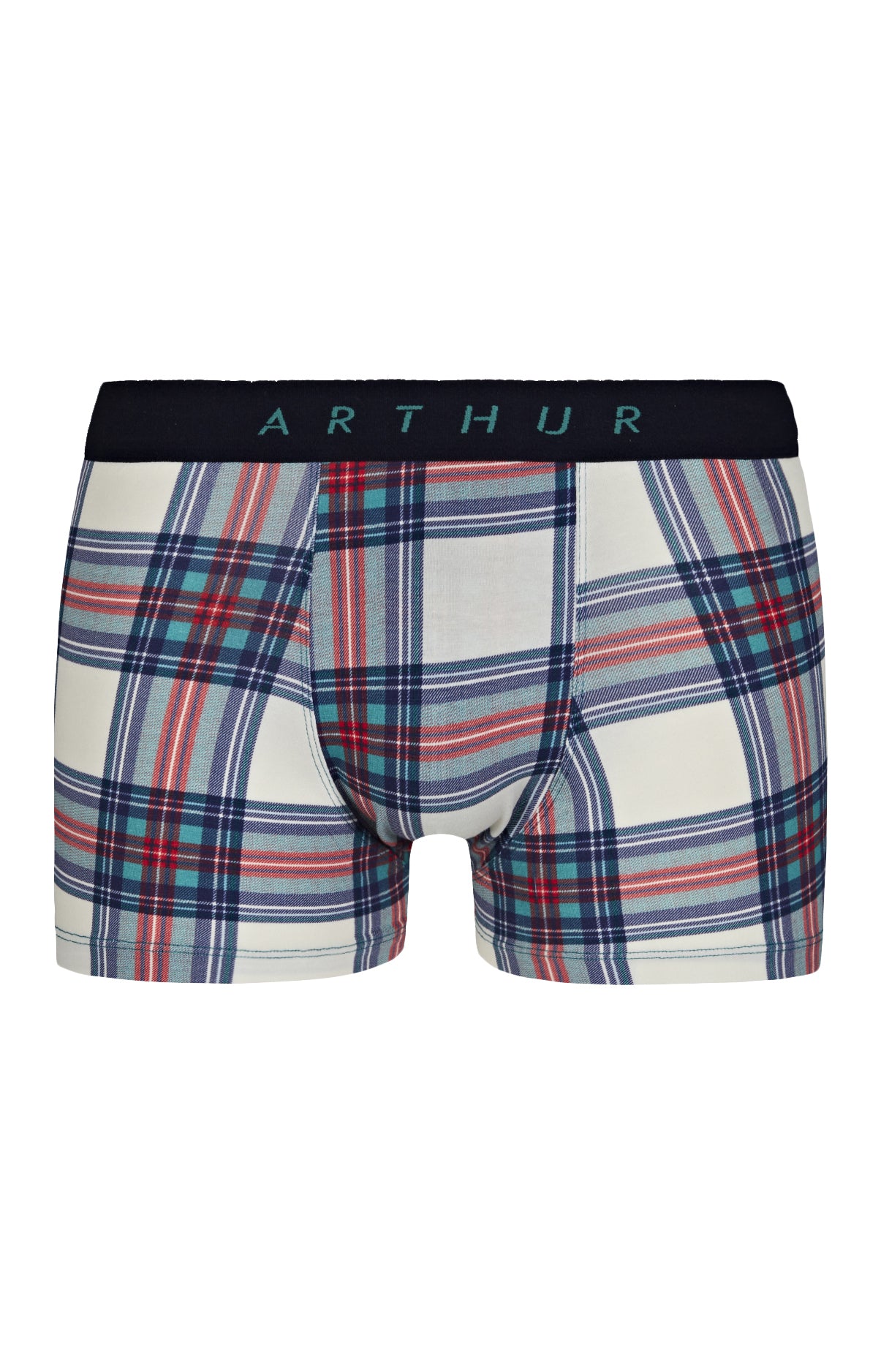 Boxer Homme Logan Multicolore 3