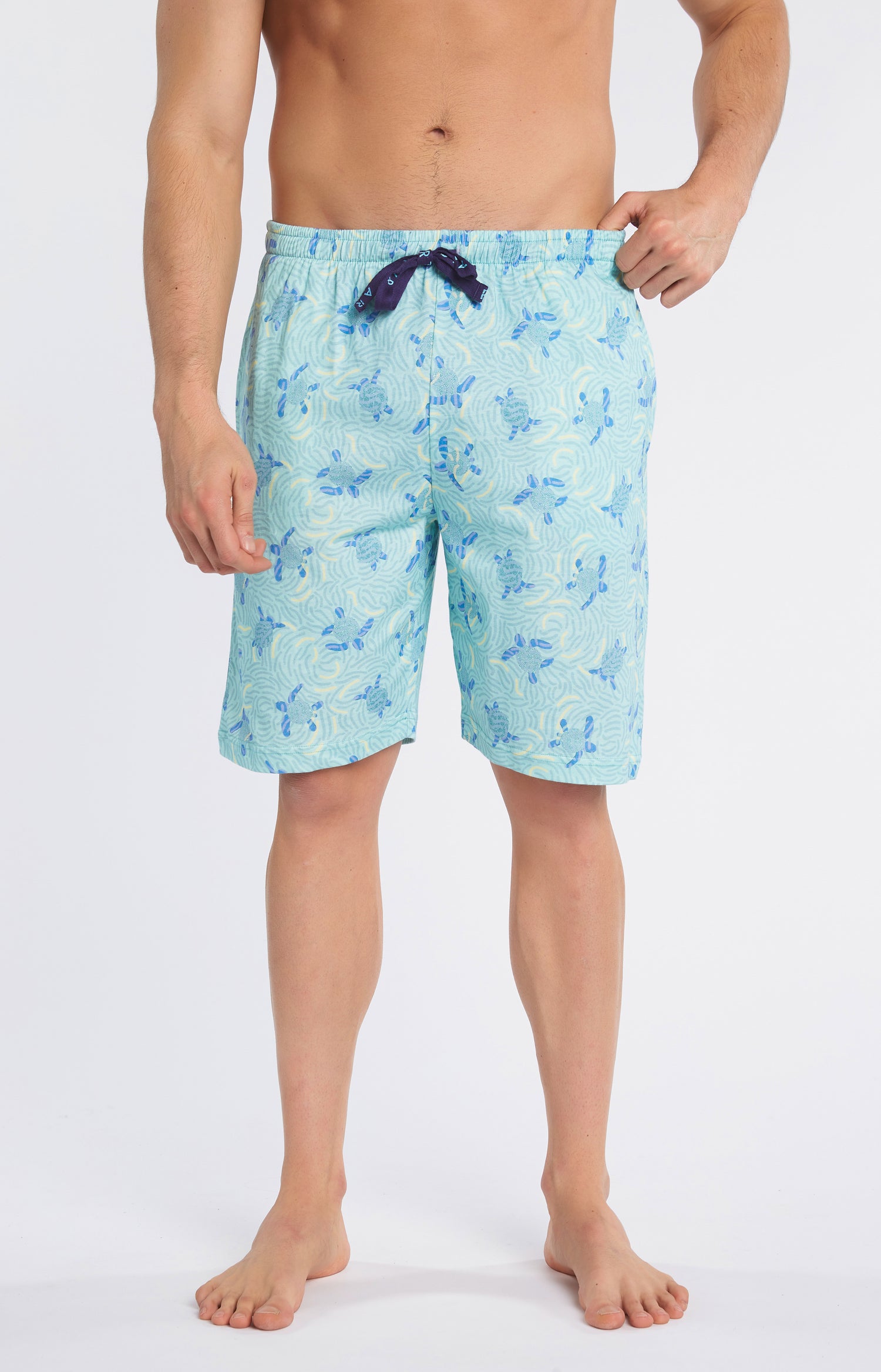 Pyjashort Homme Tortue Bleu 6